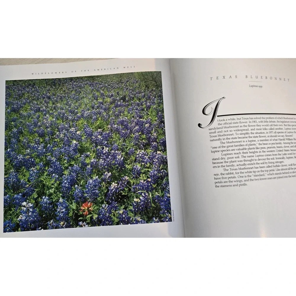 Vintage Wildflowers of the‎ American West, soft cover, Rose Houk, 1987